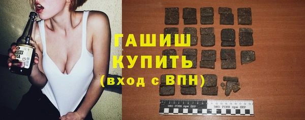 индика Белокуриха