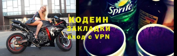 индика Белокуриха