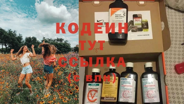 индика Белокуриха