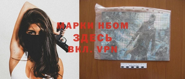 индика Белокуриха