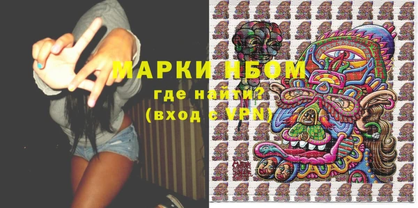шишки Белоозёрский
