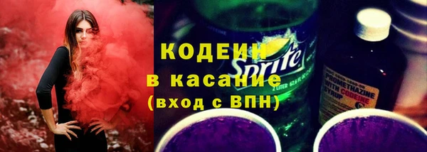шишки Белоозёрский
