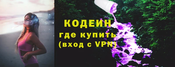 шишки Белоозёрский