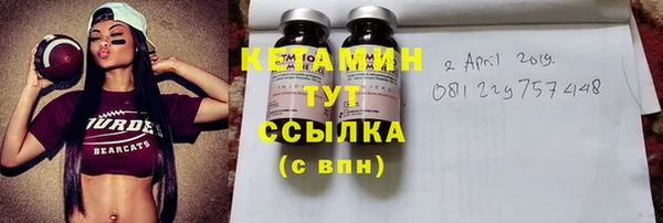 шишки Белоозёрский