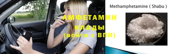 индика Белокуриха
