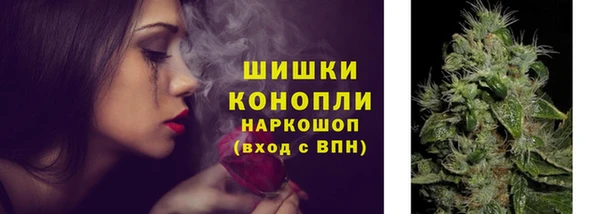 шишки Белоозёрский