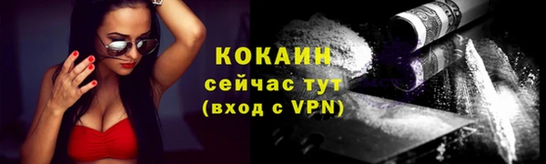шишки Белоозёрский