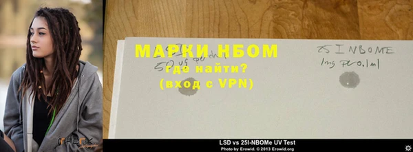 индика Белокуриха