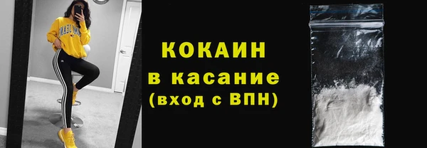 индика Белокуриха