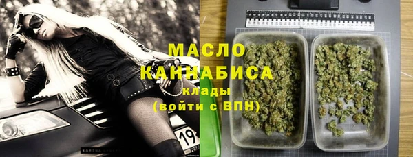 индика Белокуриха