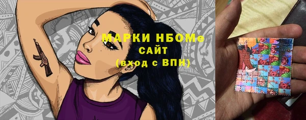 шишки Белоозёрский